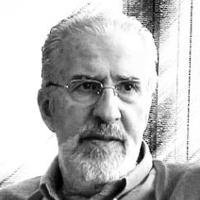 Perfil do Colunista 247