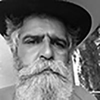 Perfil do Colunista 247