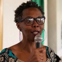 Perfil do Colunista 247