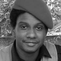 Perfil do Colunista 247