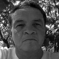 Perfil do Colunista 247