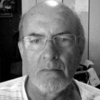 Perfil do Colunista 247