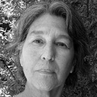 Perfil do Colunista 247