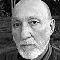 Perfil do Colunista 247