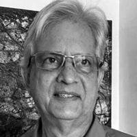 Perfil do Colunista 247