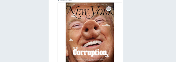 Trump porco