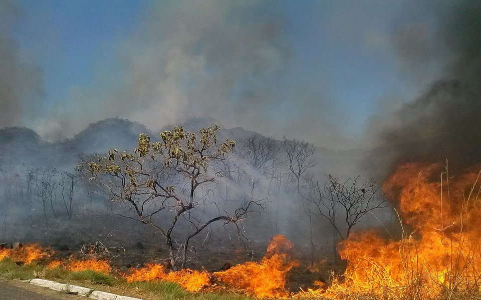 O Cerrado sofre com as queimadas neste período de estiagem, a baixa umidade no DF no fim de semana levou a Defesa Civil a declarar estado de emergência na capital(Jose Cruz/Agência Brasil)