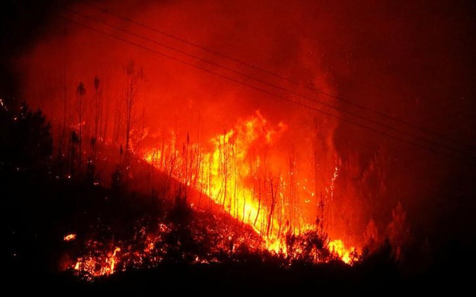 Chamas de um incêndio florestal em Carvalho, Portugal. 19/06/2017 REUTERS/Rafael Marchante