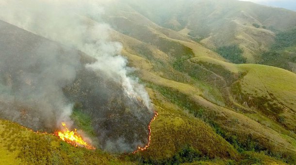 Foto: AmoVale/Arquivo Pessoal