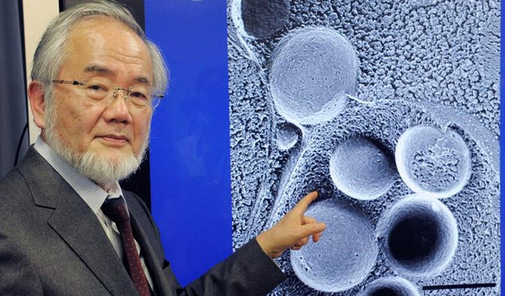 Japonês Yoshinori Ohsumi, vencedor do Nobel de 2016 de medicina e fisiologia . 25/03/2015 Kyodo/via REUTERS
