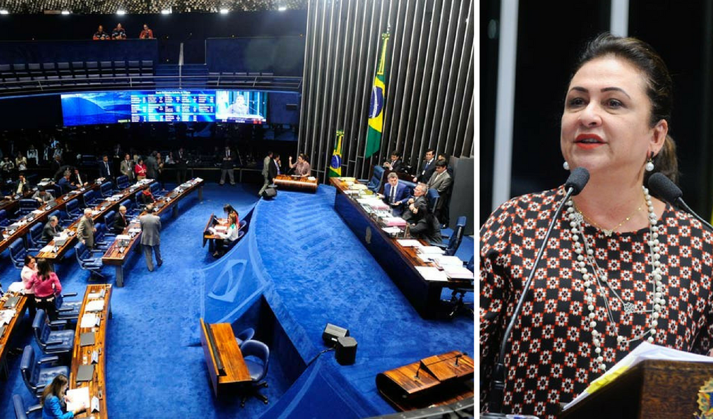 Senado aprova pacote de Katia Abreu contra supersalários