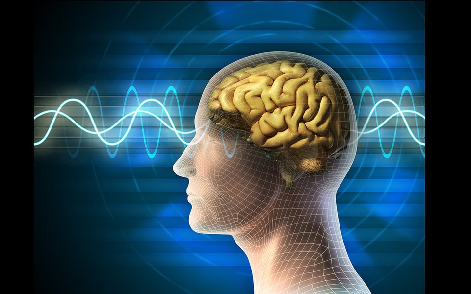 Human head and brain. Different kind of waveforms produced by brain activity shown on background. Digital illustration.