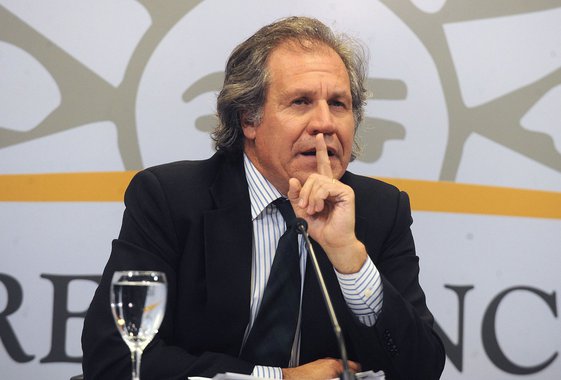 Luis Almagro 