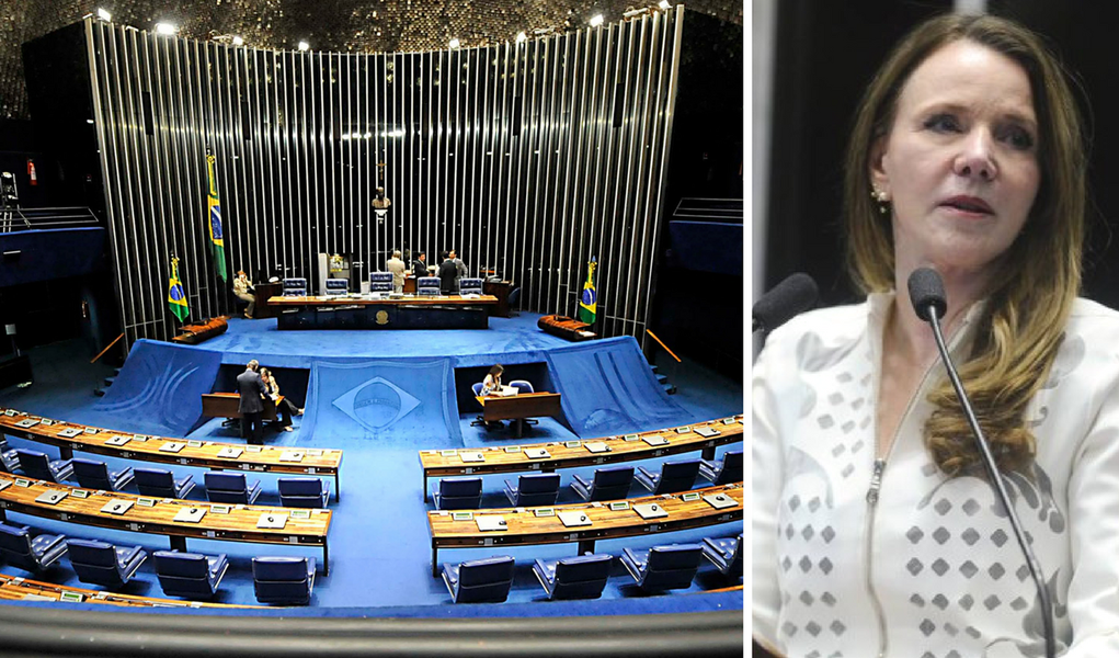Vanessa Grazziotin senado