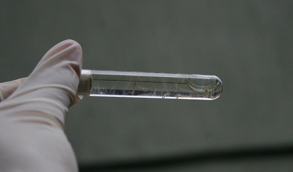 Porto Alegre, RS - 27/03/2015 Visitas de agentes de saúde para evitar proliferação do mosquito da dengue Foto: Betina Carcuchinski/PMPA