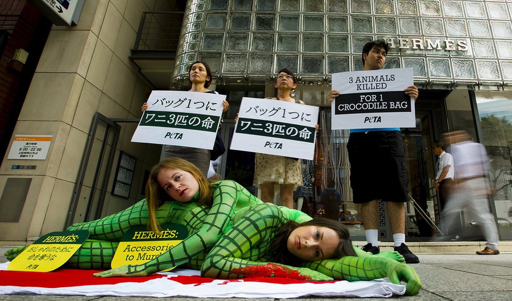 Ativistas do grupo de direitos animais Peta protestam contra o uso de pele de crocodilo em frente Ã  loja da grife HermÃ¨s em TÃ³quio, no JapÃ£o. 30/07/2015 REUTERS/Thomas Peter