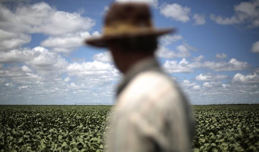Homem observando plantação de soja em Barreiras, Bahia. 06/02/2014 REUTERS/Ueslei Marcelino
