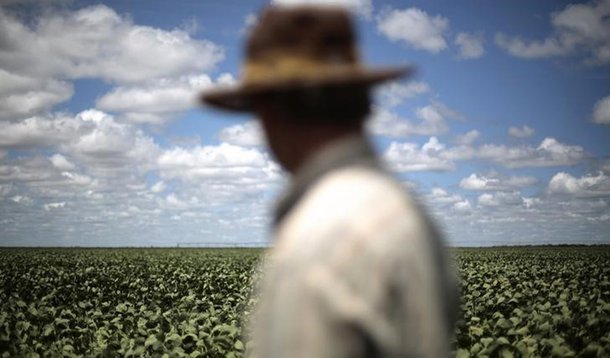 Homem observando plantação de soja em Barreiras, Bahia. 06/02/2014 REUTERS/Ueslei Marcelino