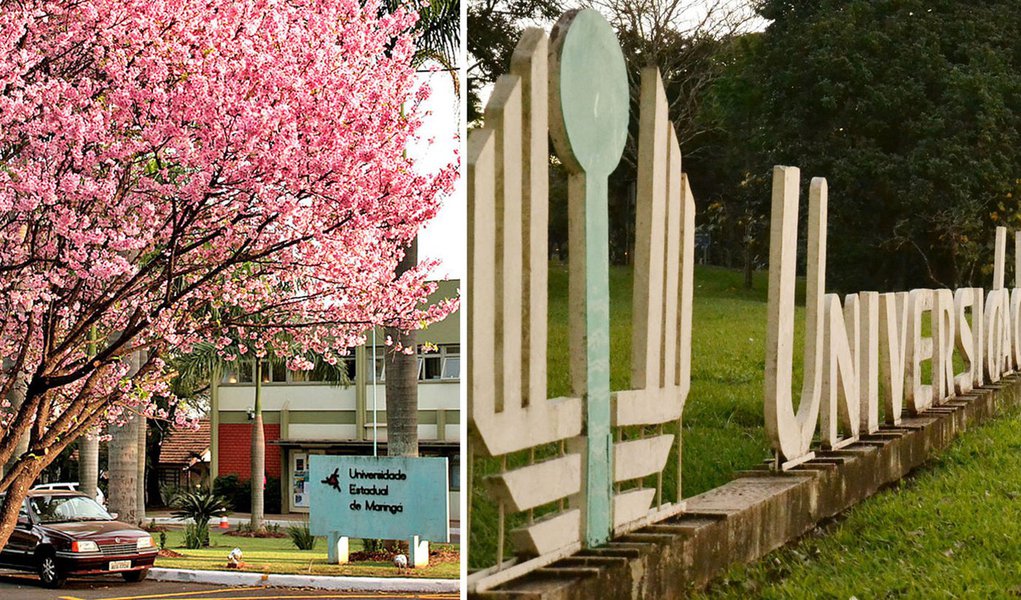 Duas universidades estaduais do Paraná estão entre as melhores instituições de ensino superior do Brasil. Na foto, UEM - laboratorio de morfologia e anatomia vegetal.Foto: Divulgação