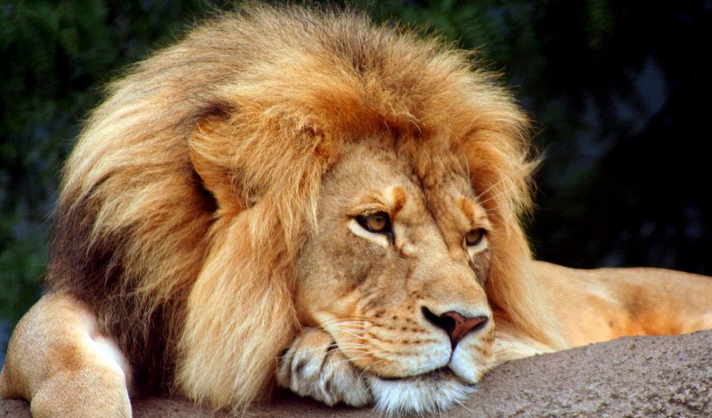 Receita libera consulta ao quarto lote de restituição do IR 2012