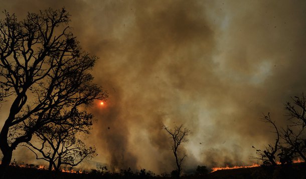 Cerrado registra 22 mil focos de incêndio em seis meses