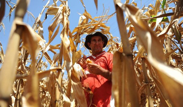 Estiagem prejudicou agricultores em SC