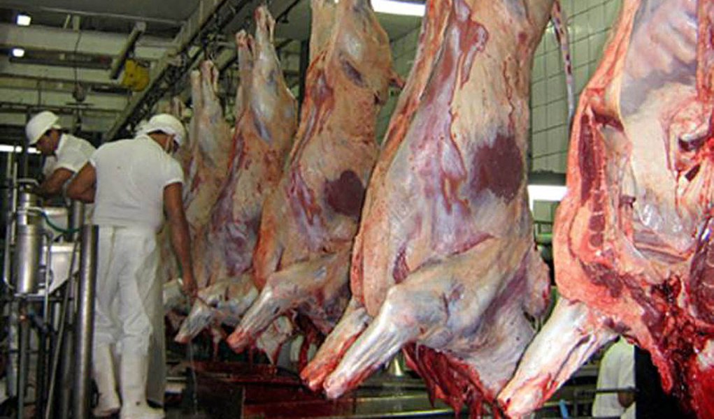 Frigorífico Nippo Bras é notificado por acidente ambiental