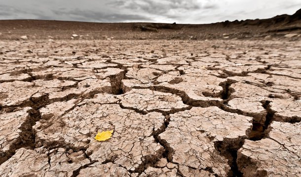 Protesto contra a seca paralisa BR-316