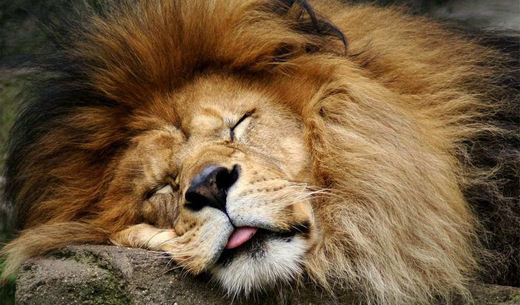 Ritmo lento da economia reduz arrecadação de impostos