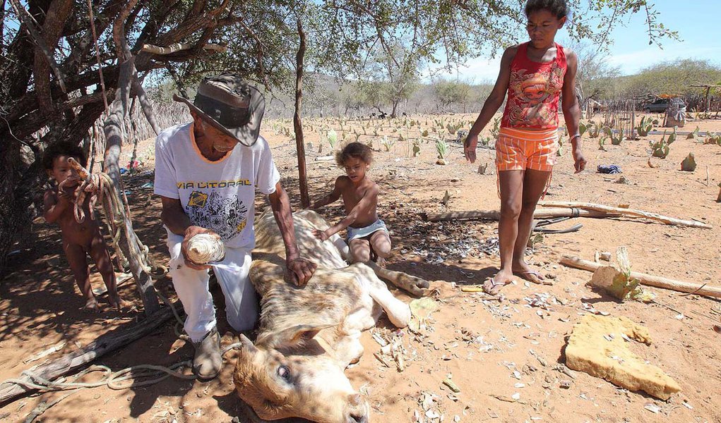 Fome sobe 6% na AL em 2016 e obesidade segue em alta, diz FAO