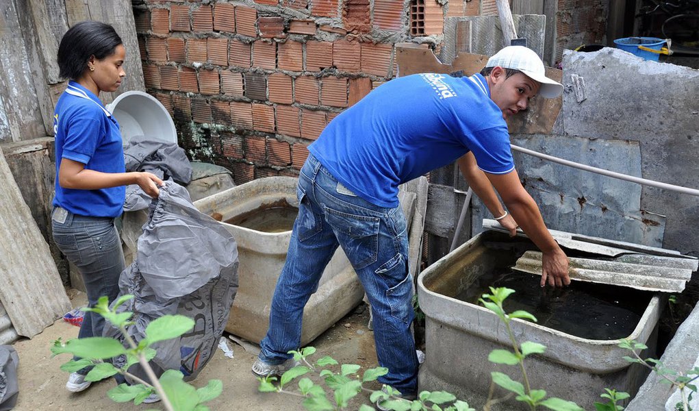 Bahia pode ter epidemia de dengue