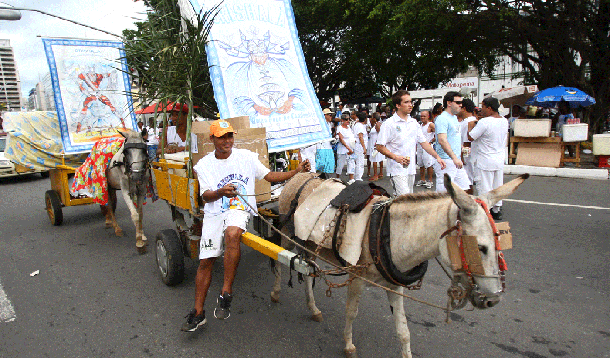  Justiça libera jegues na Lavagem do Bonfim