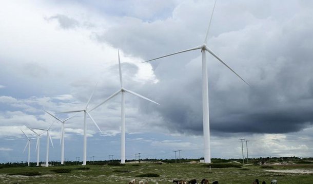 Gado pasta próximo a turbinas eólicas em Paracuru, no litoral do Ceará. O rápido leilão de reserva desta sexta-feira contratou energia de 1.505 megawatts (MW) em projetos eólicos ao preço médio de 110,51 reais por megawatt-hora (MWh), um desconto de 5,54 