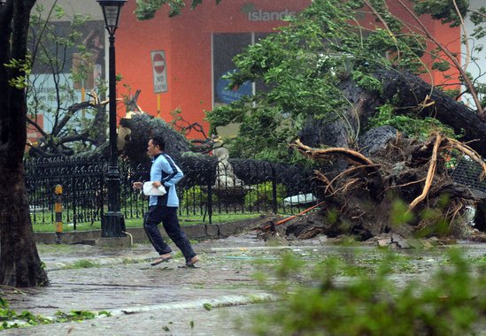 A resident runs past an uprooted tree amidst strong winds as Typhoon Haiyan pounded Cebu City, in central Philippines on November 8, 2013.  One of the most intense typhoons on record whipped the Philippines on November 8, killing three people and terrifyi