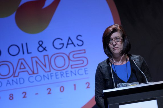 Diretora da ANP diz que o Brasil precisa de mais Eikes