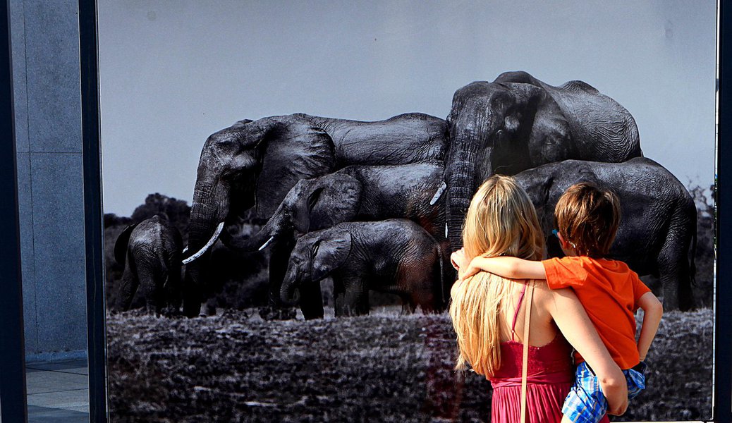 SAO PAULO 10 11 2013  Mais de 200 mil pessoas visitaram o Sesc belenzinho para ver a  Genesis  mostra fotografica  do fotografo brasileiro Sebasti�o Salgado que vai at� 1 de dezembro.  