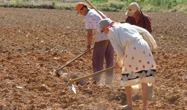 Reforma Agrária terá mais beneficiados na Bahia