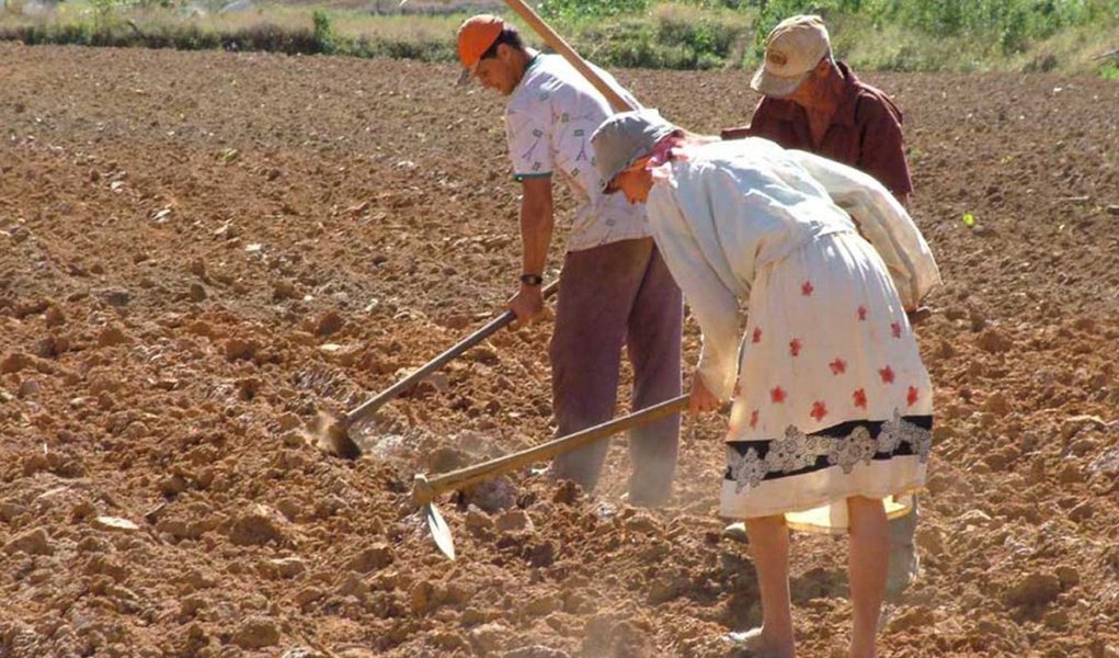 Reforma Agrária terá mais beneficiados na Bahia