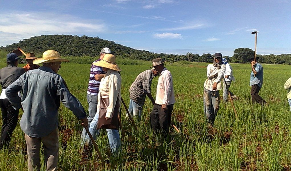 Renda agrícola deve crescer 11% em 2012