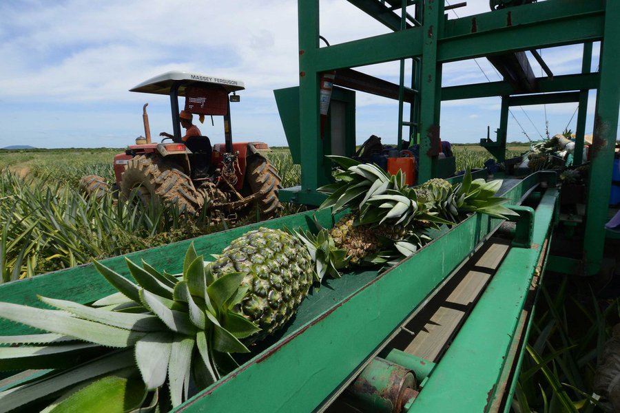 PIB mineiro tem crescimento de 2,3% em 2012