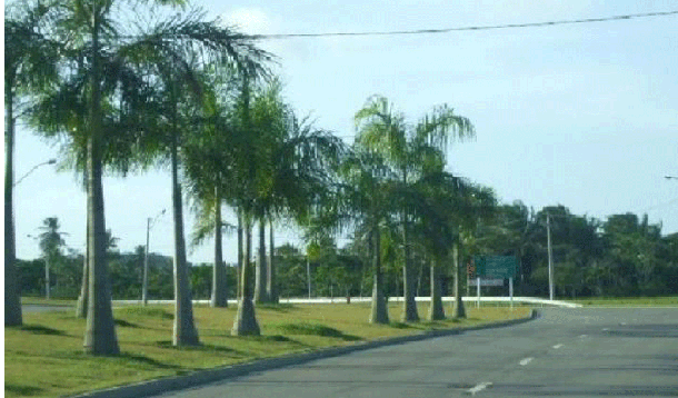 Polícia encontra três corpos em condomínio nobre de Salvador