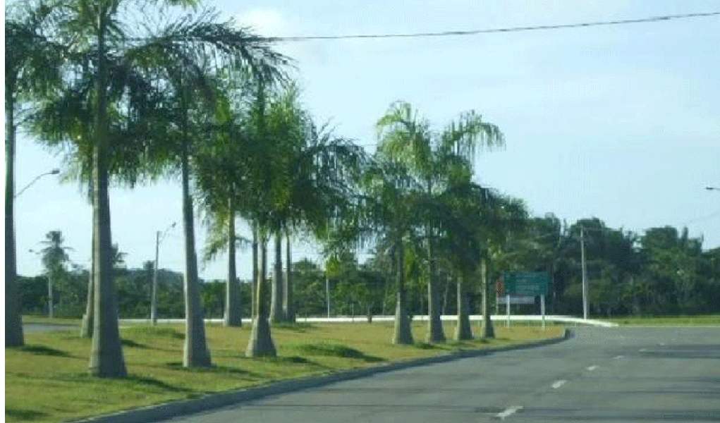 Polícia encontra três corpos em condomínio nobre de Salvador