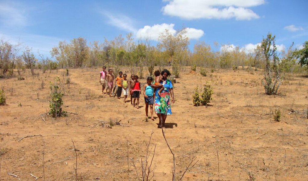  Governo garante R$ 340 mi para combate à seca