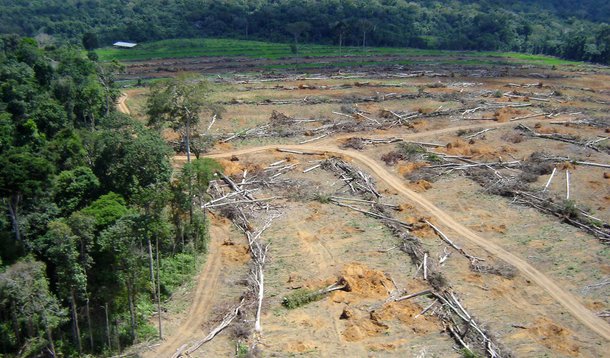 Senado terá comissão para manter aprovação do Código Florestal