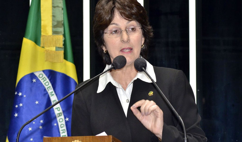 "Sem atuação conjunta de poderes, Lei Maria da Penha não funcionará"