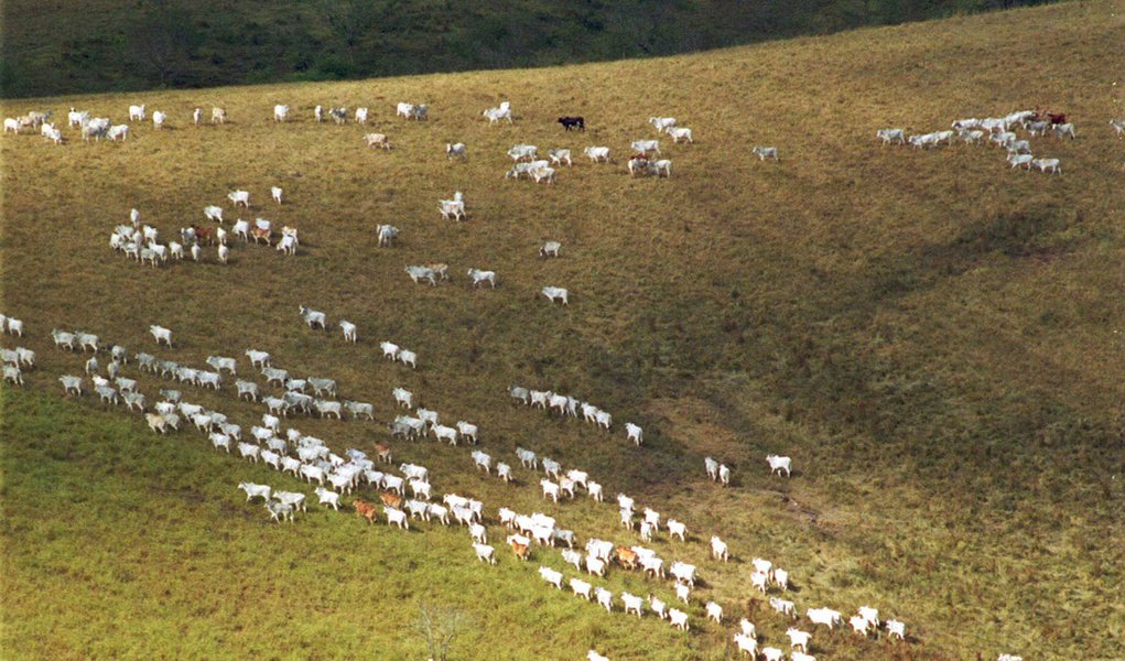 Fazendas da Boi Gordo são leiloadas por R$ 3,8 milhões