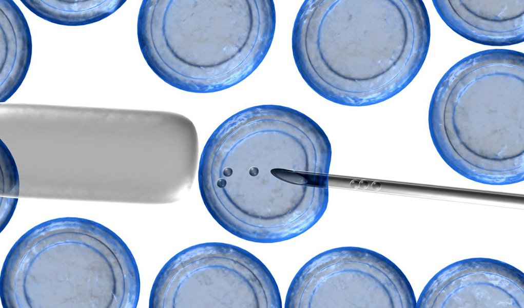 Polônia, o paraíso da fecundação in vitro