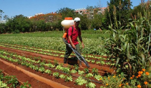 Cuba: transformações no campo são laboratório para reformas