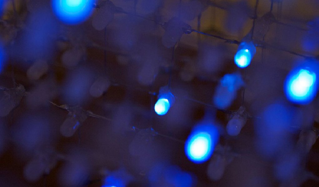 A rede é inspiração artística