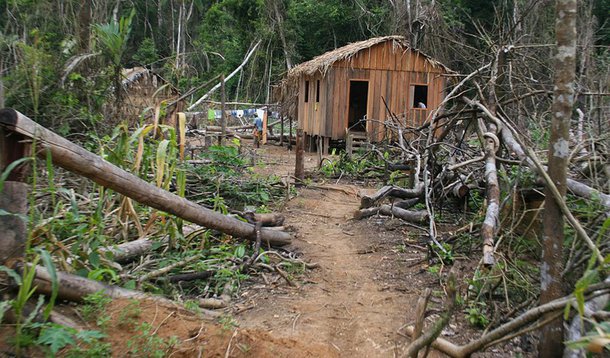 Comunidades amazônicas são ameaçadas por madeireiros